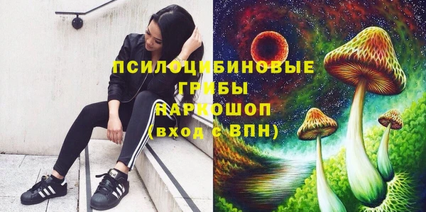не бодяженный Новозыбков