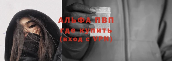 ECSTASY Новодвинск