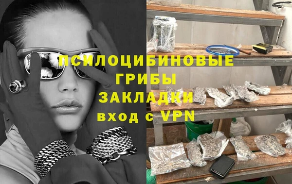 гашик Верея