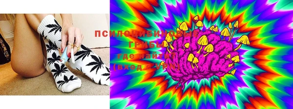 ECSTASY Новодвинск