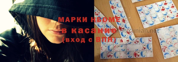 индика Верхний Тагил