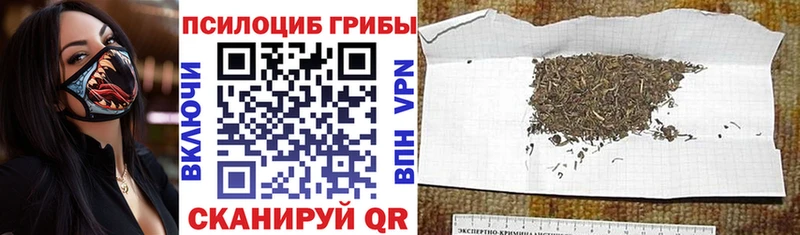 наркотики  Пошехонье  Галлюциногенные грибы мухоморы 